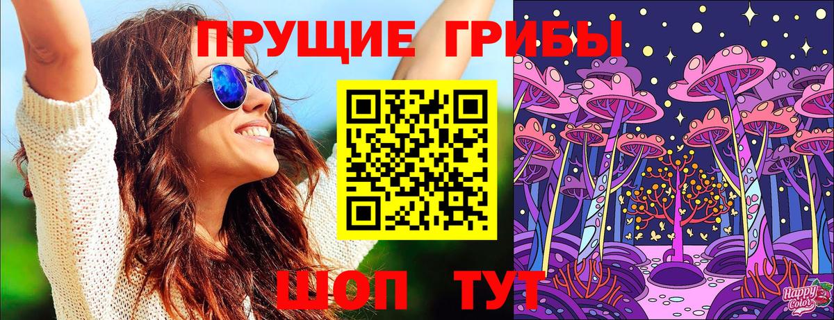 Городец  где купить наркоту  Вход с VPN  Галлюциногенные грибы Psilocybe 